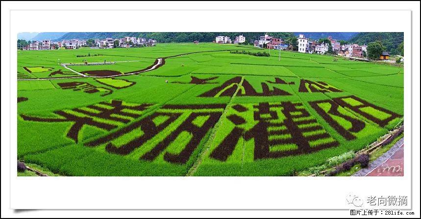 【春天,广西桂林灌阳县向您发出邀请!】开篇 - 游山玩水 - 日照生活社区 - 日照28生活网 rizhao.28life.com