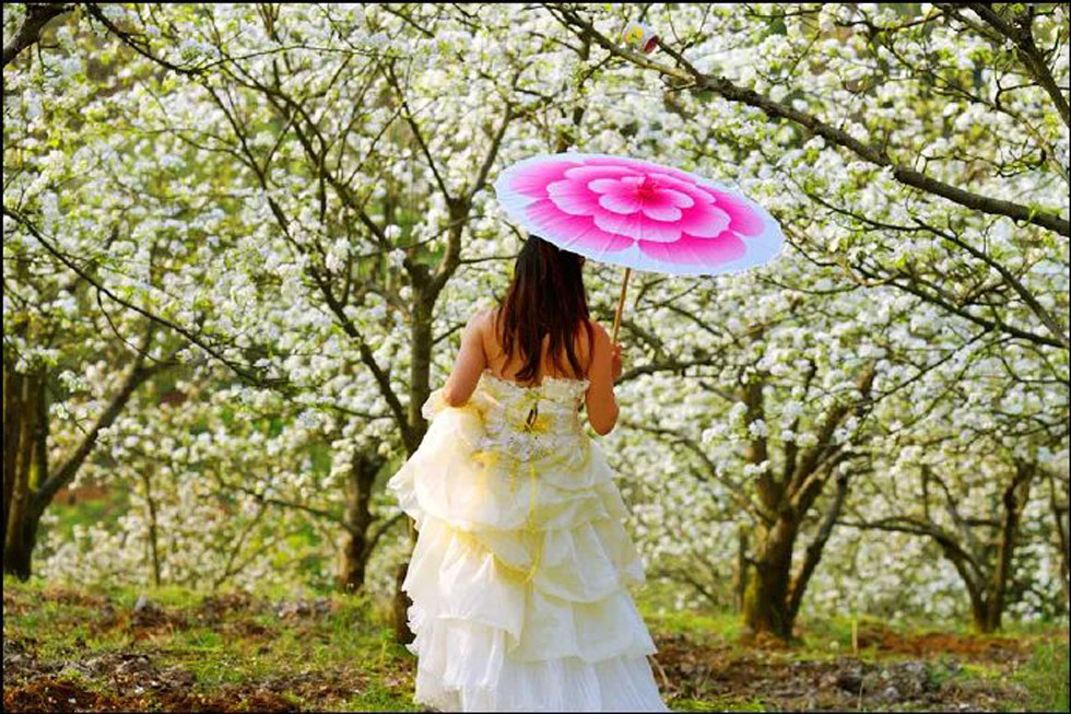 【春天,广西桂林灌阳县向您发出邀请!】我们在灌阳看梨花 - 游山玩水 - 日照生活社区 - 日照28生活网 rizhao.28life.com