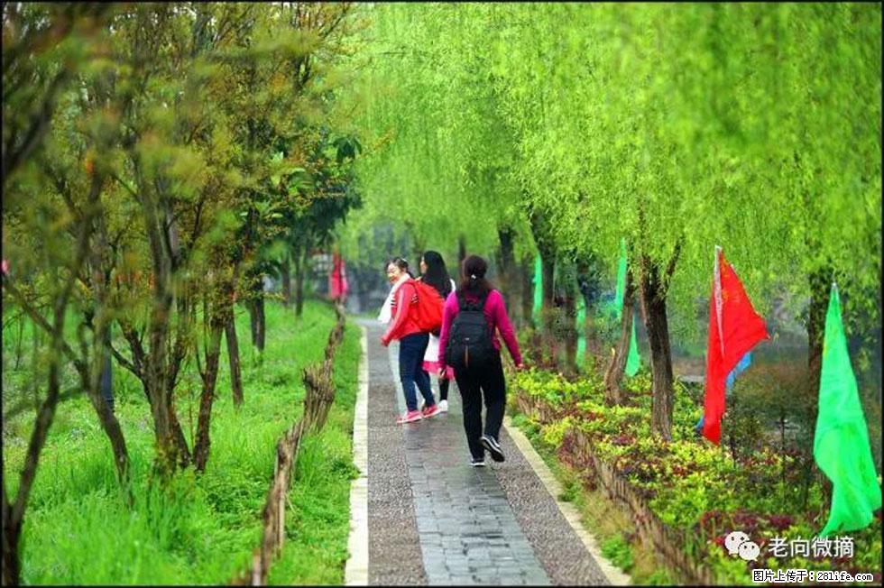 【春天,广西桂林灌阳县向您发出邀请!】江口老街又逢春 - 游山玩水 - 日照生活社区 - 日照28生活网 rizhao.28life.com