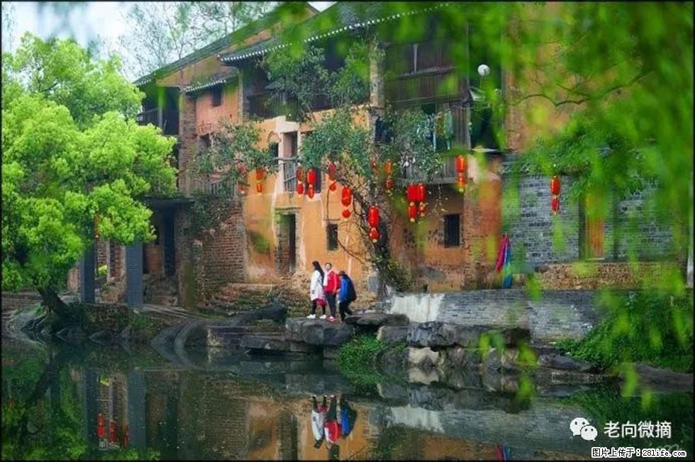 【春天,广西桂林灌阳县向您发出邀请!】江口老街又逢春 - 游山玩水 - 日照生活社区 - 日照28生活网 rizhao.28life.com