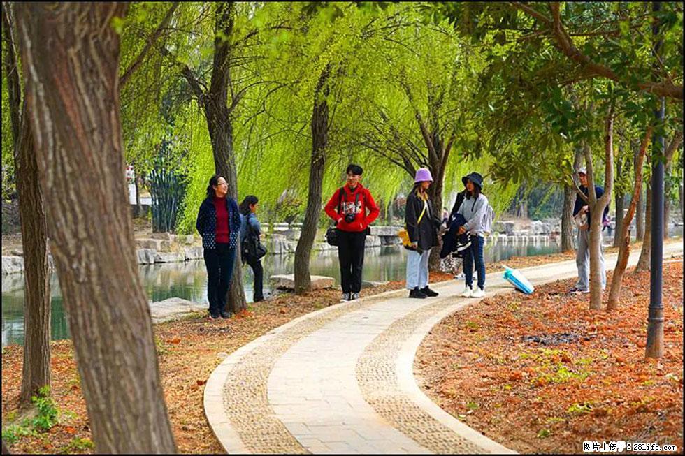 【春天,广西桂林灌阳县向您发出邀请!】江口老街又逢春 - 游山玩水 - 日照生活社区 - 日照28生活网 rizhao.28life.com