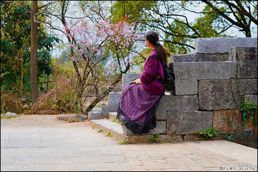 【春天,广西桂林灌阳县向您发出邀请!】江口老街又逢春 - 游山玩水 - 日照生活社区 - 日照28生活网 rizhao.28life.com