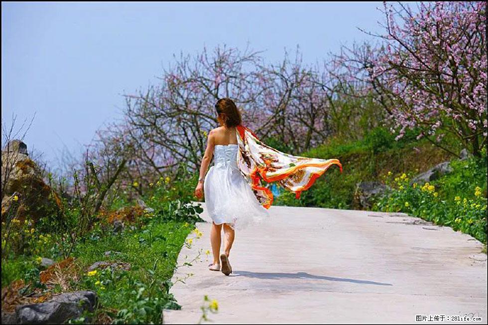 【春天,广西桂林灌阳县向您发出邀请!】望月岭上桃花开 - 游山玩水 - 日照生活社区 - 日照28生活网 rizhao.28life.com