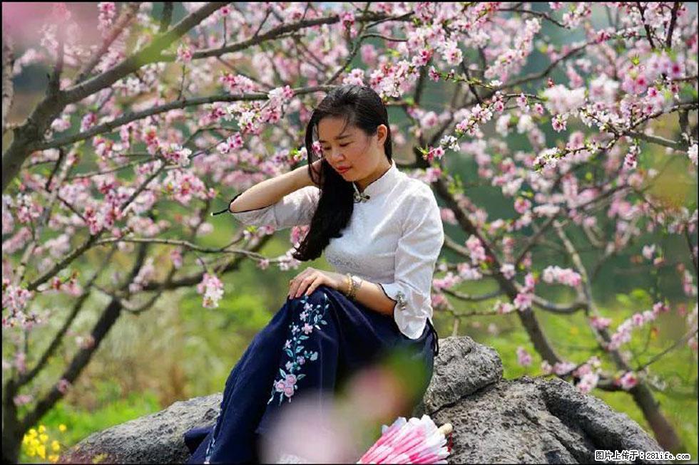 【春天,广西桂林灌阳县向您发出邀请!】望月岭上桃花开 - 游山玩水 - 日照生活社区 - 日照28生活网 rizhao.28life.com