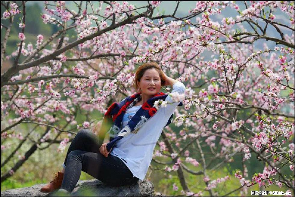 【春天,广西桂林灌阳县向您发出邀请!】望月岭上桃花开 - 游山玩水 - 日照生活社区 - 日照28生活网 rizhao.28life.com