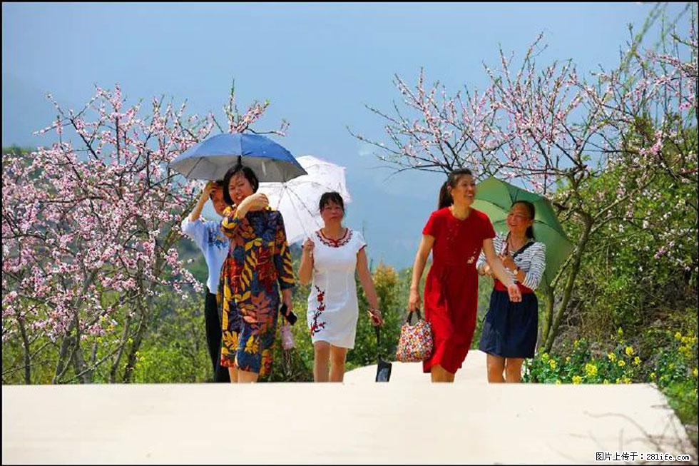 【春天,广西桂林灌阳县向您发出邀请!】望月岭上桃花开 - 游山玩水 - 日照生活社区 - 日照28生活网 rizhao.28life.com