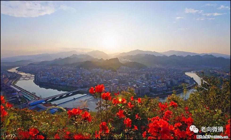 【春天,广西桂林灌阳县向您发出邀请!】登麒麟山,相约映山红 - 游山玩水 - 日照生活社区 - 日照28生活网 rizhao.28life.com