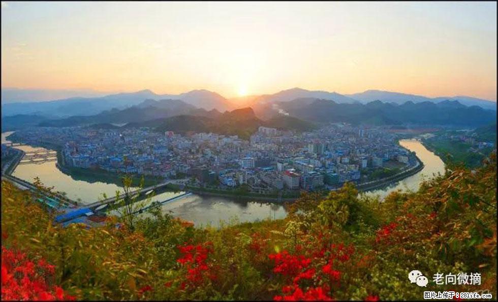 【春天,广西桂林灌阳县向您发出邀请!】登麒麟山,相约映山红 - 游山玩水 - 日照生活社区 - 日照28生活网 rizhao.28life.com