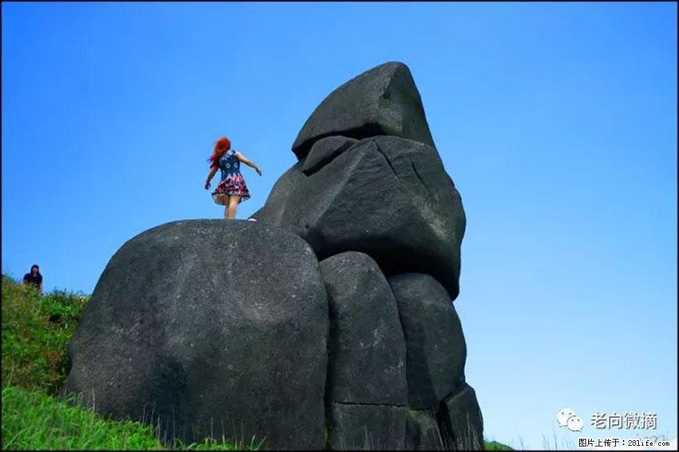 【春天,广西桂林灌阳县向您发出邀请!】宝盖山上映山红 - 游山玩水 - 日照生活社区 - 日照28生活网 rizhao.28life.com