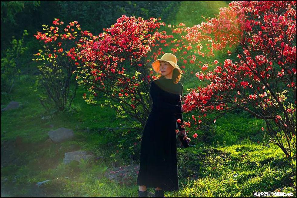 【春天,广西桂林灌阳县向您发出邀请!】春木界上映山红 - 游山玩水 - 日照生活社区 - 日照28生活网 rizhao.28life.com