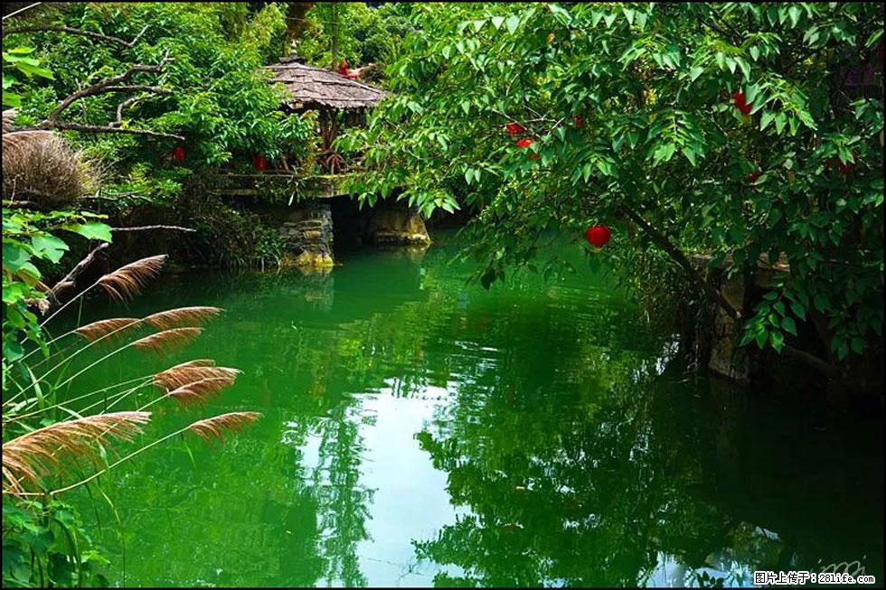 【春天,广西桂林灌阳县向您发出邀请!】如梦似幻莲溪庐 - 游山玩水 - 日照生活社区 - 日照28生活网 rizhao.28life.com