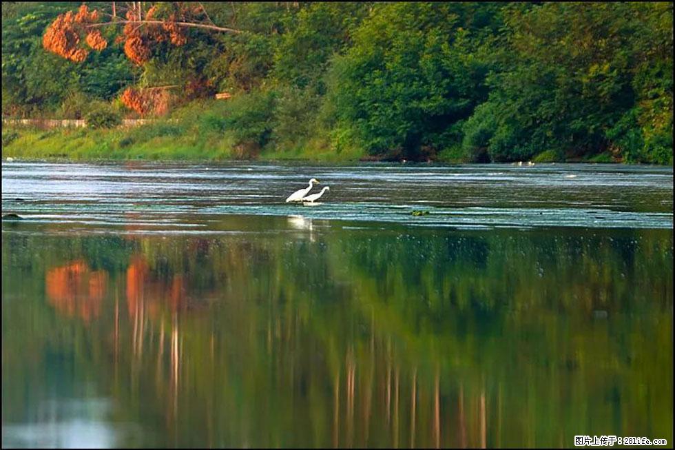 【春天,广西桂林灌阳县向您发出邀请!】熊家寨湿地公园 - 游山玩水 - 日照生活社区 - 日照28生活网 rizhao.28life.com