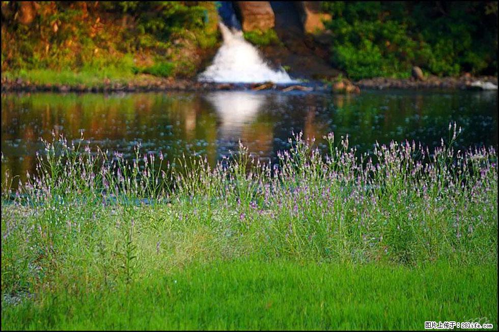 【春天,广西桂林灌阳县向您发出邀请!】熊家寨湿地公园 - 游山玩水 - 日照生活社区 - 日照28生活网 rizhao.28life.com