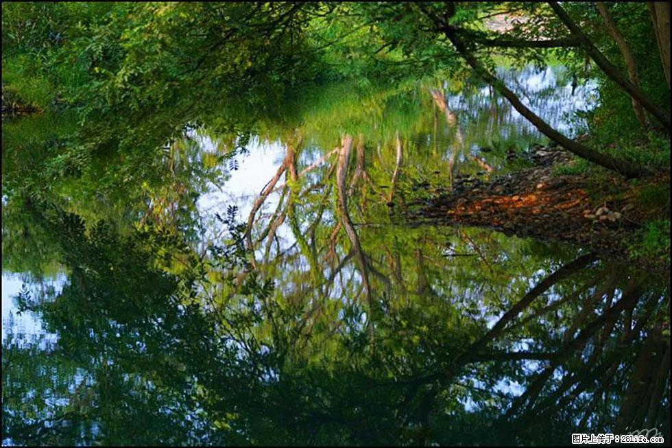 【春天,广西桂林灌阳县向您发出邀请!】熊家寨湿地公园 - 游山玩水 - 日照生活社区 - 日照28生活网 rizhao.28life.com