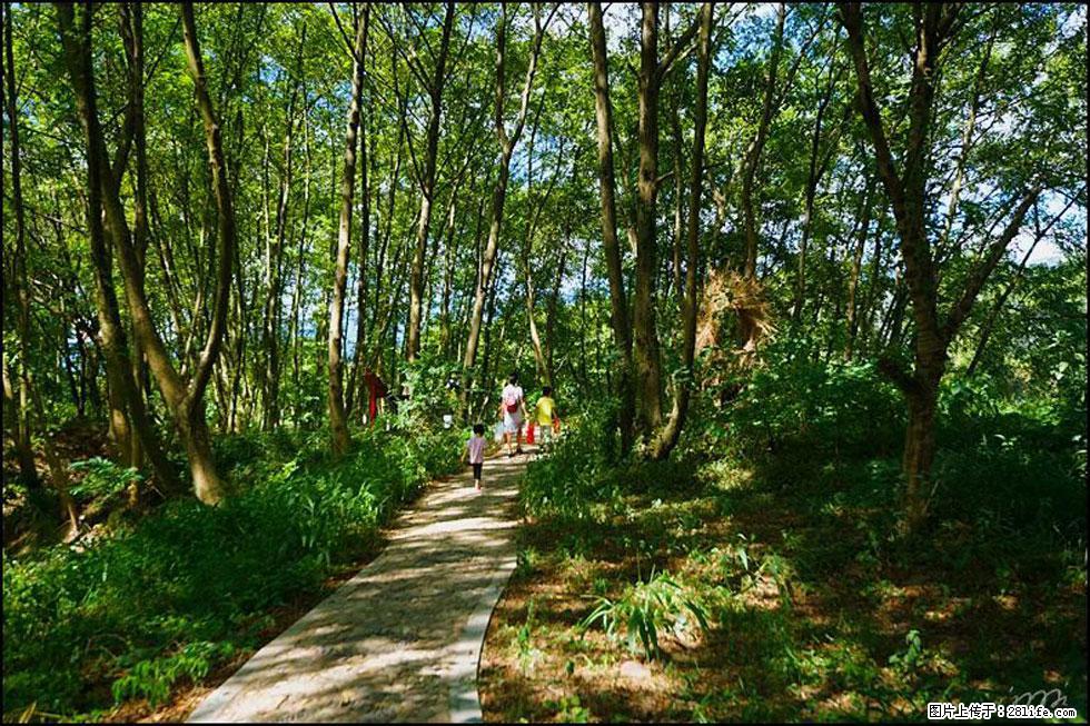 【春天,广西桂林灌阳县向您发出邀请!】熊家寨湿地公园 - 游山玩水 - 日照生活社区 - 日照28生活网 rizhao.28life.com