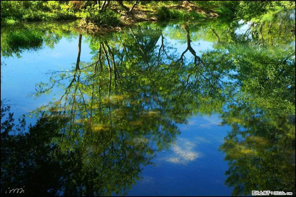 【春天,广西桂林灌阳县向您发出邀请!】熊家寨湿地公园 - 游山玩水 - 日照生活社区 - 日照28生活网 rizhao.28life.com