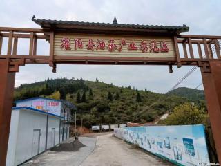【灌阳县油茶产业示范区】一个有着充实的精神生活的人,对待身外之物自会有一种淡泊的态度 - 日照28生活网 rizhao.28life.com