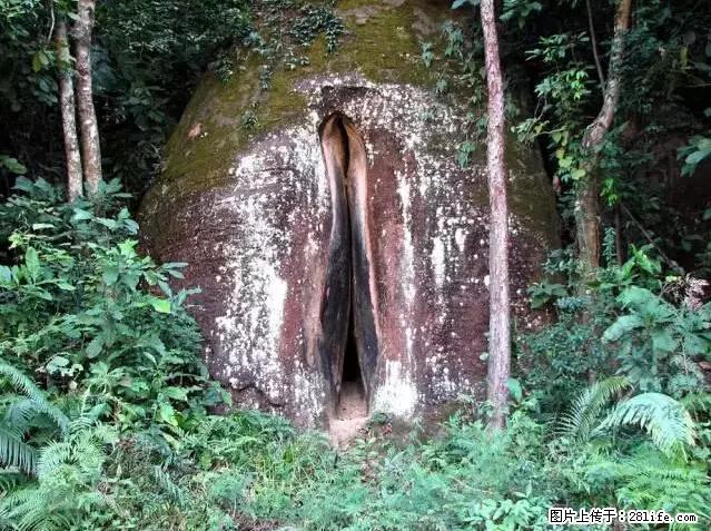让人脸红的流氓景点，大自然真的有点色 - 灌水专区 - 日照生活社区 - 日照28生活网 rizhao.28life.com