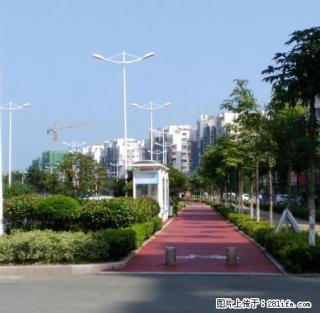 华尔兹三室精装,可随时看房 - 日照28生活网 rizhao.28life.com
