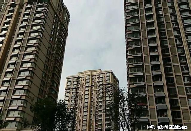 新市区大卜家庵子村 2室2厅90平米 年付 - 房屋出租 - 房屋租售 - 日照分类信息 - 日照28生活网 rizhao.28life.com