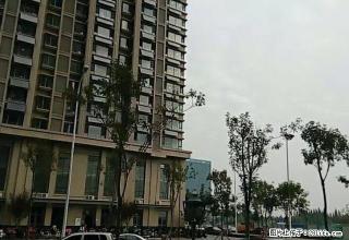新市区大卜家庵子村 2室2厅90平米 年付 - 日照28生活网 rizhao.28life.com
