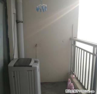 中央绿城,一室一厅,简装,850, - 日照28生活网 rizhao.28life.com
