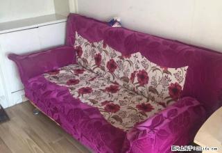 筑城摩登精装一室出租1100 - 日照28生活网 rizhao.28life.com