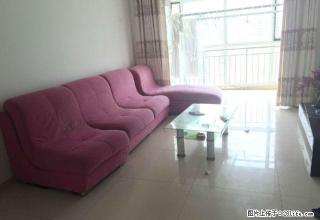 名校附近 精装修 家具家电齐全 令包即住 - 日照28生活网 rizhao.28life.com