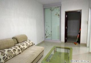 设计院家属院3室2厅精装修拎包入住实验高中,济南路小学陪读房 - 日照28生活网 rizhao.28life.com