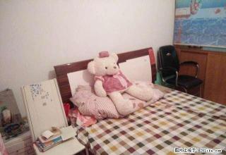 酒厂家属院 拎包入住 整体出租 可短租 - 日照28生活网 rizhao.28life.com