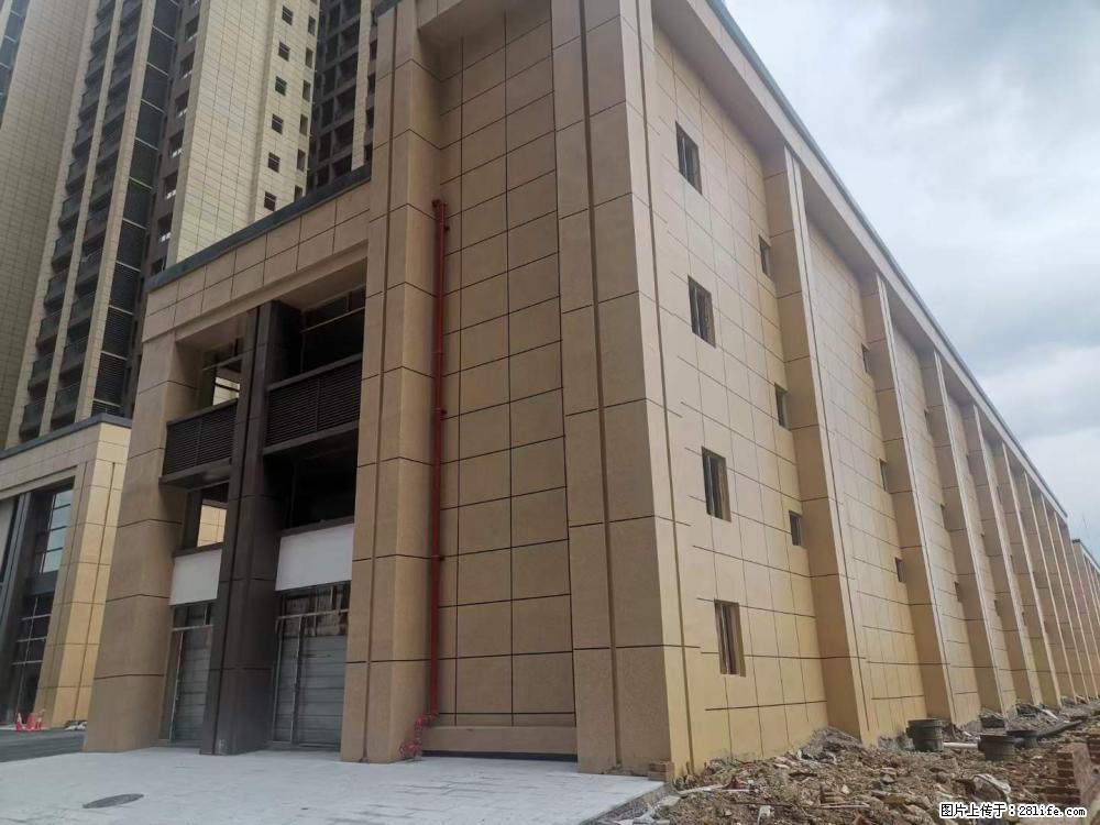 【广西三象建筑安装工程有限公司】外墙涂料工程 - 新手上路 - 日照生活社区 - 日照28生活网 rizhao.28life.com