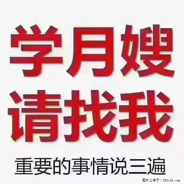 【招聘】月嫂,上海徐汇区 - 职场交流 - 日照生活社区 - 日照28生活网 rizhao.28life.com