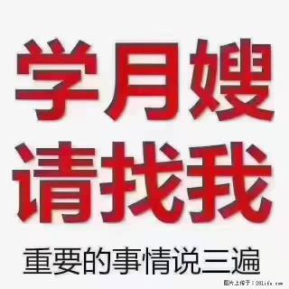 【招聘】月嫂，上海徐汇区 - 日照28生活网 rizhao.28life.com