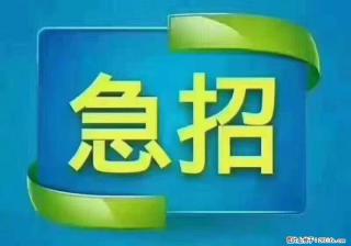 招出纳8000元/月，无证可以，要有相关经验，上海五险一金，包住，包工作餐，做六休一。 - 日照28生活网 rizhao.28life.com