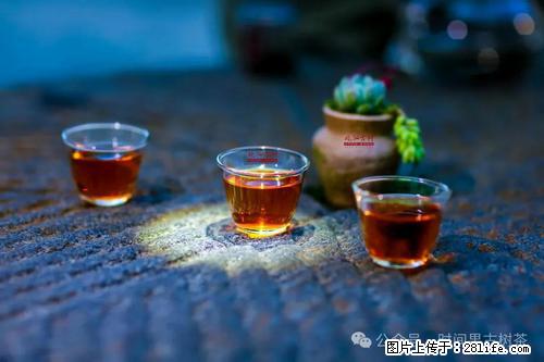 时间果百年古树2025年春红茶 - 购物交流 - 日照生活社区 - 日照28生活网 rizhao.28life.com