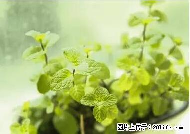 晕车、脚气、牙齿变黄、皮肤粗糙?学会这些三分钟搞定! - 日照生活资讯 - 日照28生活网 rizhao.28life.com