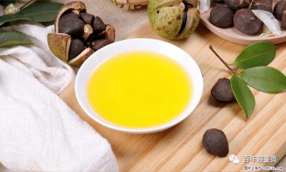 揭秘茶油的5大核心营养成分！被称为人体健康的“守护盾”！ - 日照生活资讯 - 日照28生活网 rizhao.28life.com
