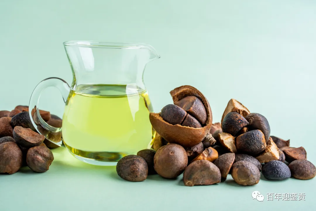 世界没有真相，只有认知，最好的食用油是中国的山茶油！ - 日照生活资讯 - 日照28生活网 rizhao.28life.com