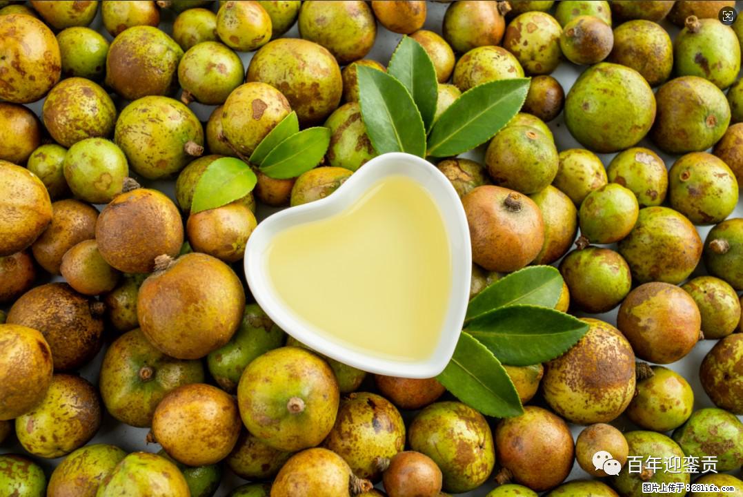 世界没有真相，只有认知，最好的食用油是中国的山茶油！ - 日照生活资讯 - 日照28生活网 rizhao.28life.com