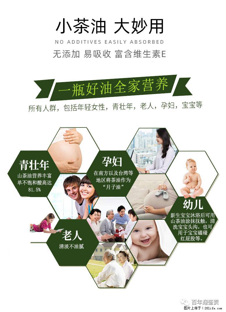 世界没有真相，只有认知，最好的食用油是中国的山茶油！ - 日照生活资讯 - 日照28生活网 rizhao.28life.com