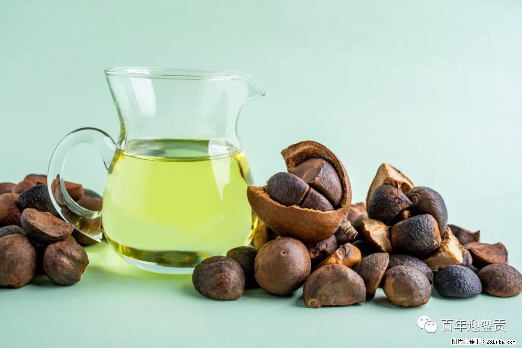 世界没有真相，只有认知，最好的食用油是中国的山茶油！ - 日照生活资讯 - 日照28生活网 rizhao.28life.com