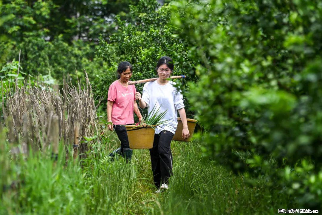 全网追的“扁担女孩”,找了一份暑假工,时薪12元 - 日照生活资讯 - 日照28生活网 rizhao.28life.com