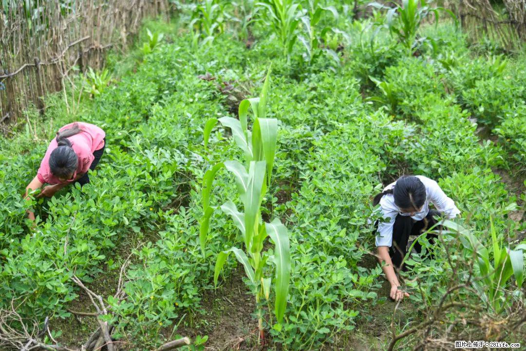 全网追的“扁担女孩”,找了一份暑假工,时薪12元 - 日照生活资讯 - 日照28生活网 rizhao.28life.com