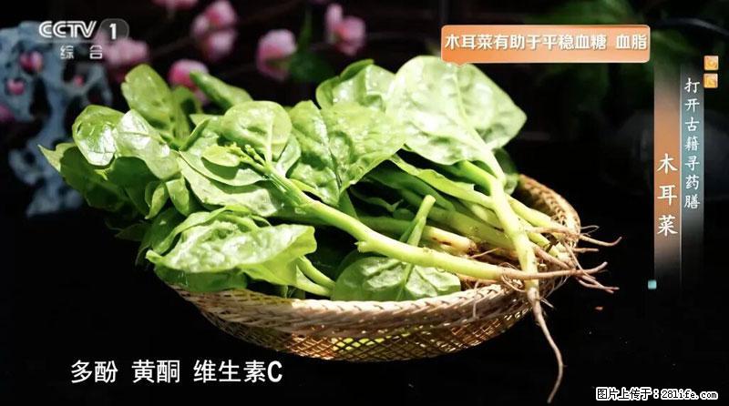 比牛奶补钙还厉害!凉血解毒、稳血糖...这菜冬天必吃,很多人却当草 - 日照生活资讯 - 日照28生活网 rizhao.28life.com