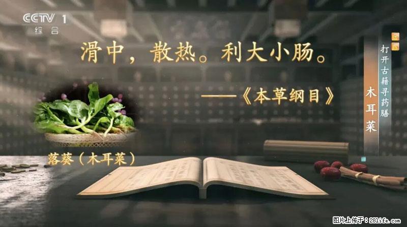 比牛奶补钙还厉害!凉血解毒、稳血糖...这菜冬天必吃,很多人却当草 - 日照生活资讯 - 日照28生活网 rizhao.28life.com