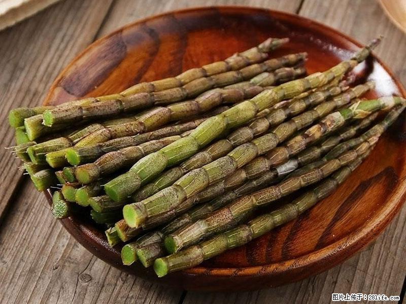 铁皮石斛的作用与功能主治 - 日照生活资讯 - 日照28生活网 rizhao.28life.com