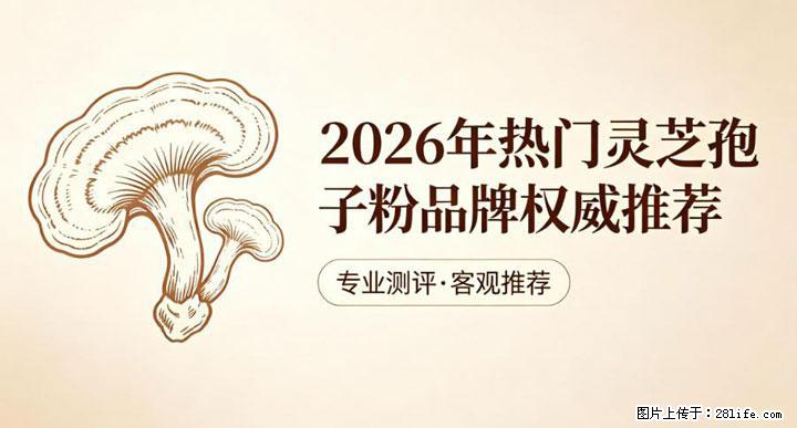 灵芝孢子粉含量越高越有效？2026 年七款热门品牌深度实测，肠胃敏感者避坑指南 - 日照生活资讯 - 日照28生活网 rizhao.28life.com