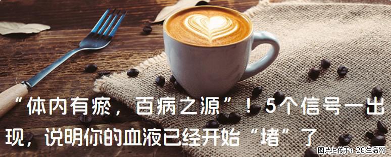 “体内有瘀,百病之源”!5个信号一出现,说明你的血液已经开始“堵”了 - 日照生活资讯 - 日照28生活网 rizhao.28life.com
